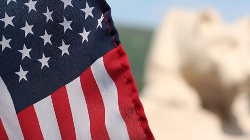 american flag with lion shrine