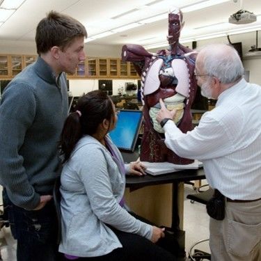 Professor of Biology Dr. David Byman 