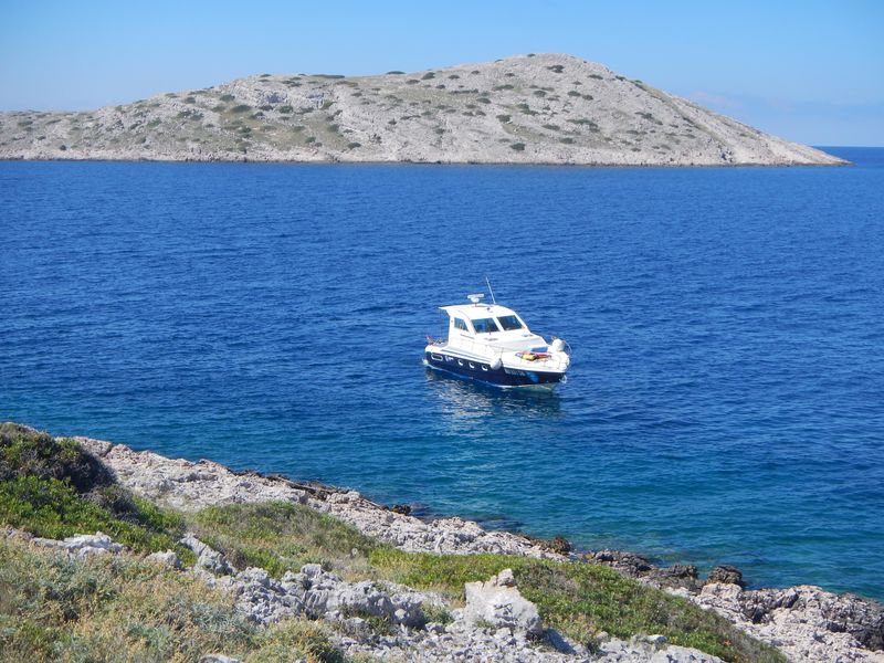 A boat along the shoreline