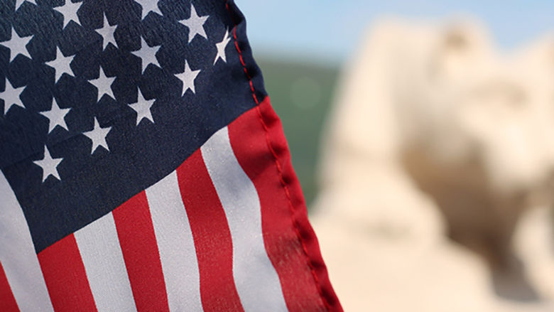 american flag with lion shrine